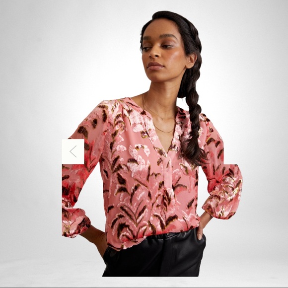 Anthropologie Lori Burnout Velvet -Sold Out - HTF - Picture 2 of 5